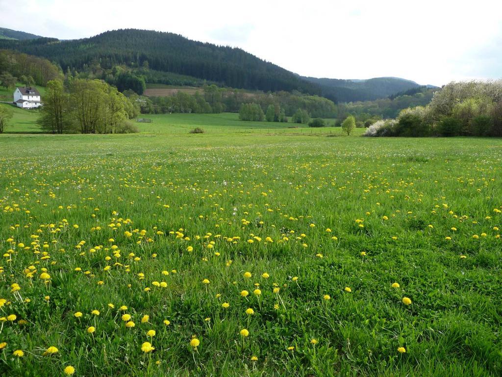 Landhaus Lenneper-Fuehrt Kirchhundem Exterior foto